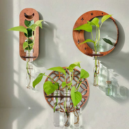 Enchant Your Home with the Moon Phase Plant Propagation Station - Ideal for Hydroponics & Air Plants, Perfect for Home Office Decor and Unique Gifts!