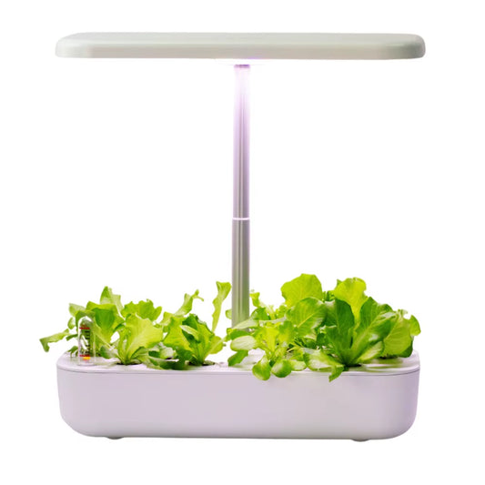 Revolutionize Your Indoor Gardening with the Hydroponics Growing System - Complete with LED Grow Light for Effortless Soilless Planting!