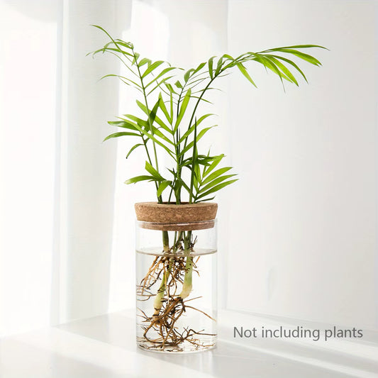 Elevate Your Space with Our Stunning Hydroponics Glass Planter Vase - Perfect for Desktop Plant Propagation and Home Decor!